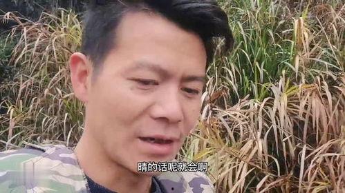 牛不啦二嫂最新爆料,揭秘娱乐圈惊人内幕  第1张